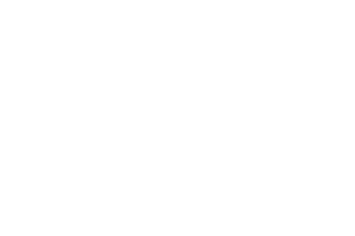 CÁMARA DE DIPUTADOS